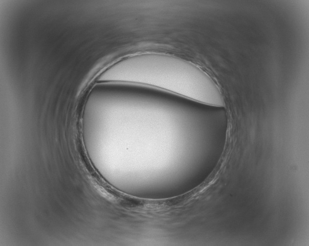 X0000082140101200701191008