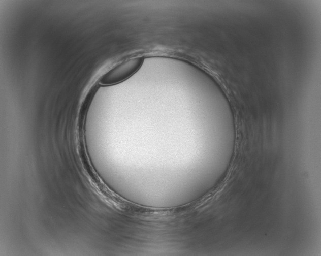 X0000082140102200701191008