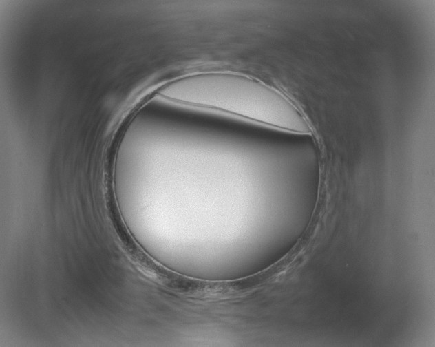 X0000082140103200701191008