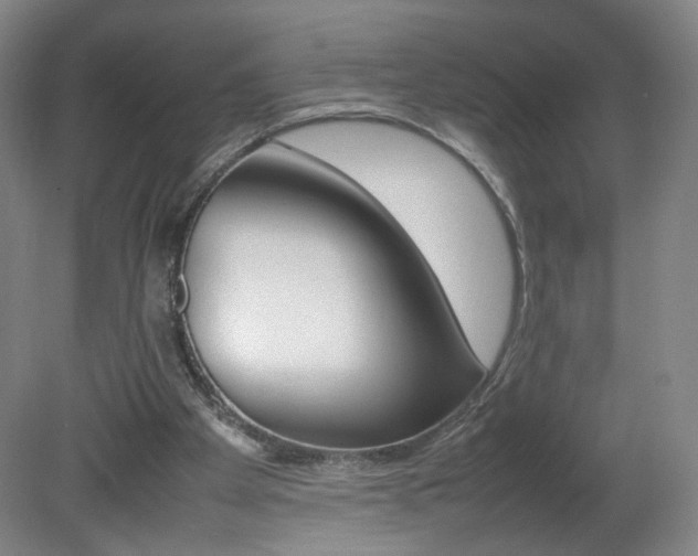 X0000082140105200701191008