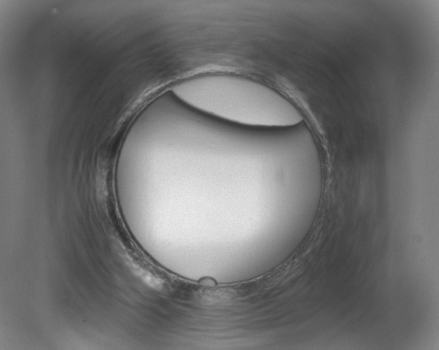 X0000082140106200701191008