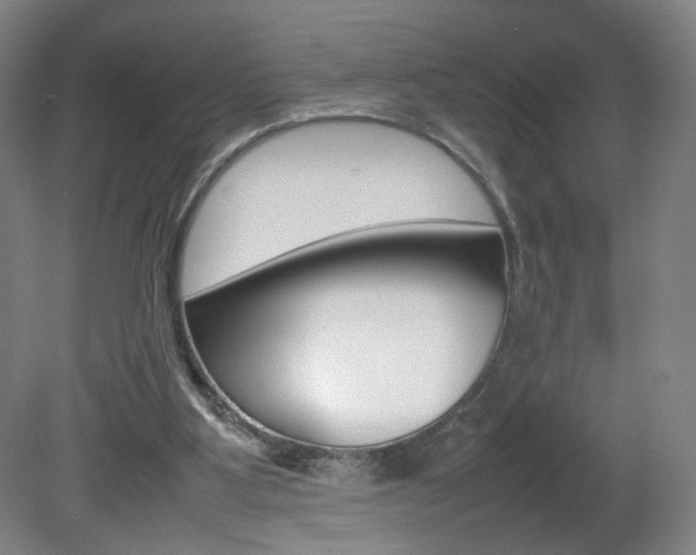 X0000082140107200701191008
