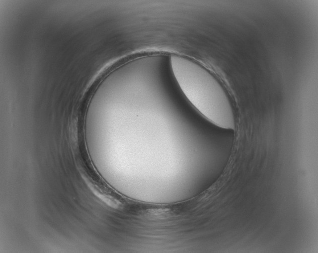 X0000082140108200701191008