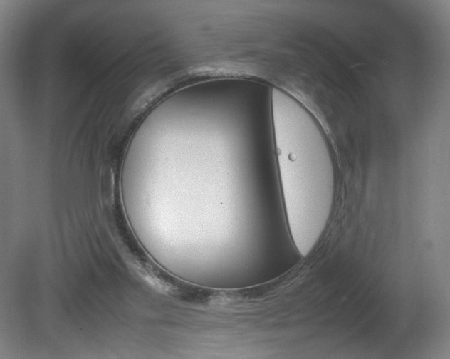 X0000082140109200701191008