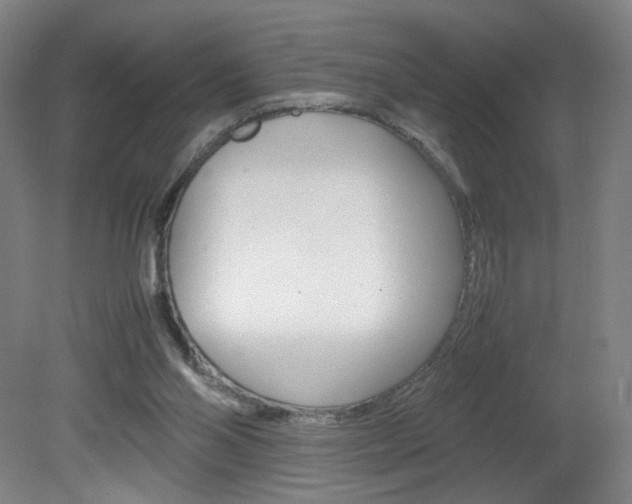 X0000082140110200701191008