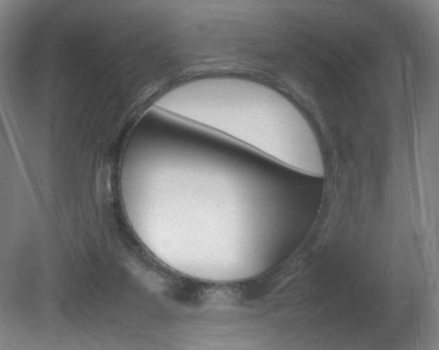 X0000082140115200701191008