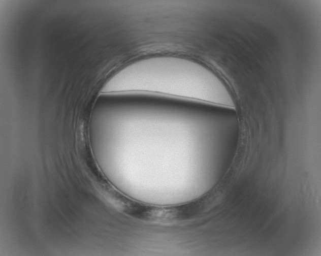 X0000082140117200701191008