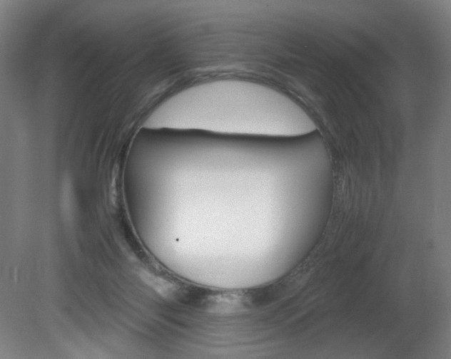X0000082140118200701191008