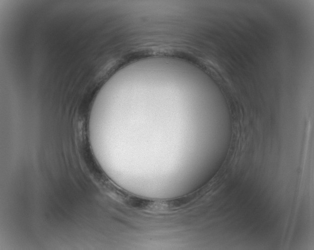 X0000082140123200701191008