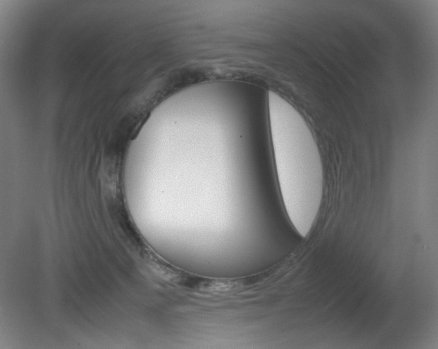 X0000082140129200701191007