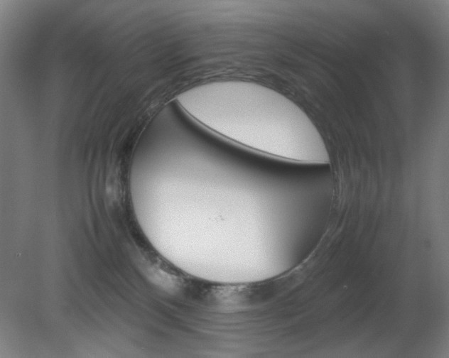 X0000082140136200701191007
