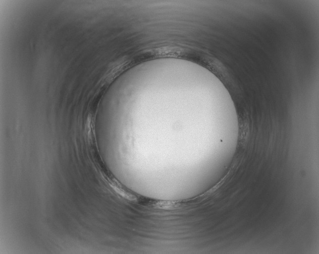 X0000082140142200701191007