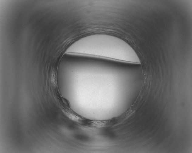X0000082140143200701191007
