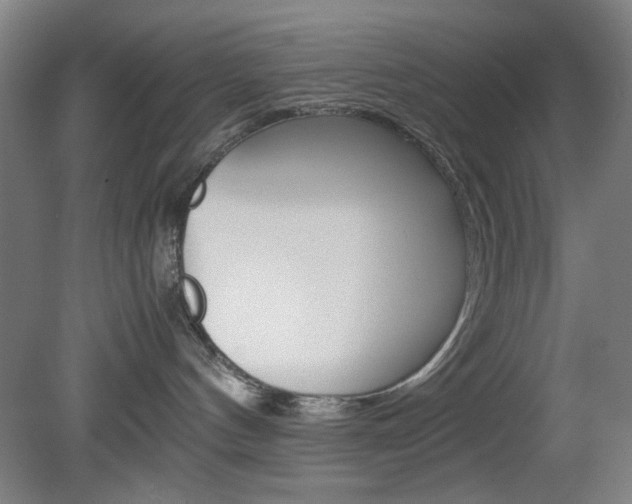 X0000082140144200701191007