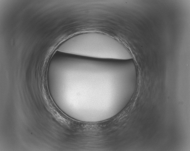 X0000082140145200701191006