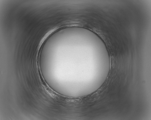 X0000082140147200701191006