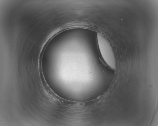 X0000082140148200701191006