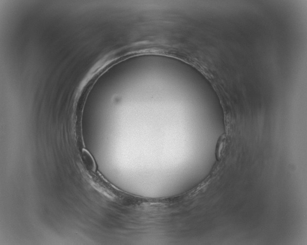 X0000082140150200701191007