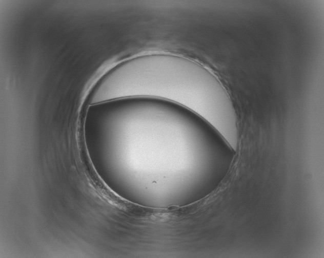 X0000082140152200701191007