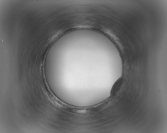X0000082140153200701191007