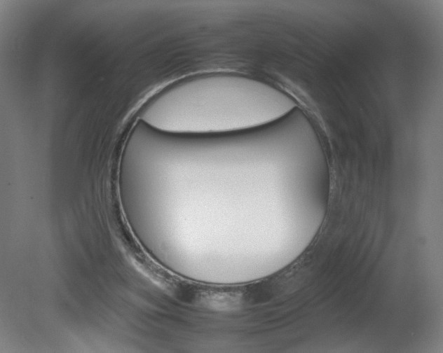 X0000082140155200701191007