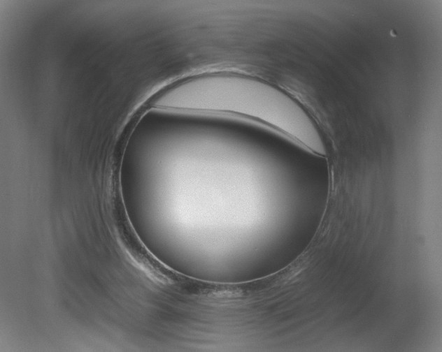 X0000082140156200701191007