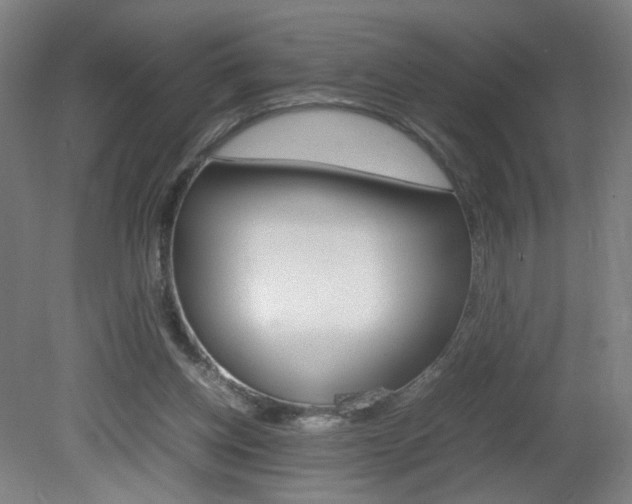 X0000082140158200701191007