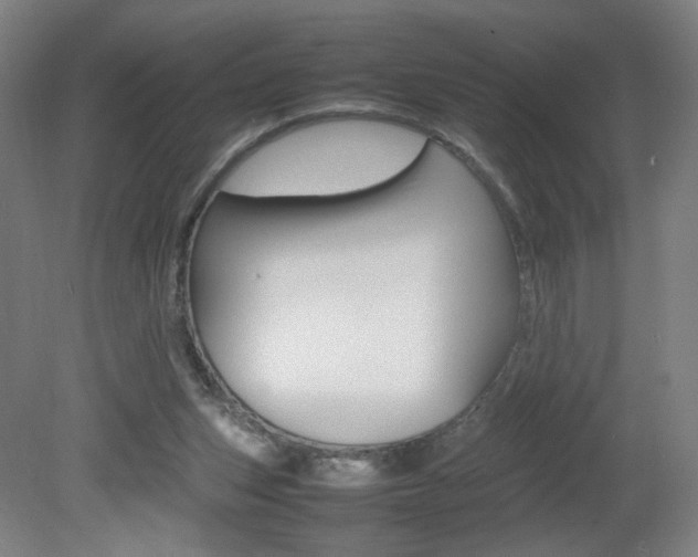 X0000082140159200701191007