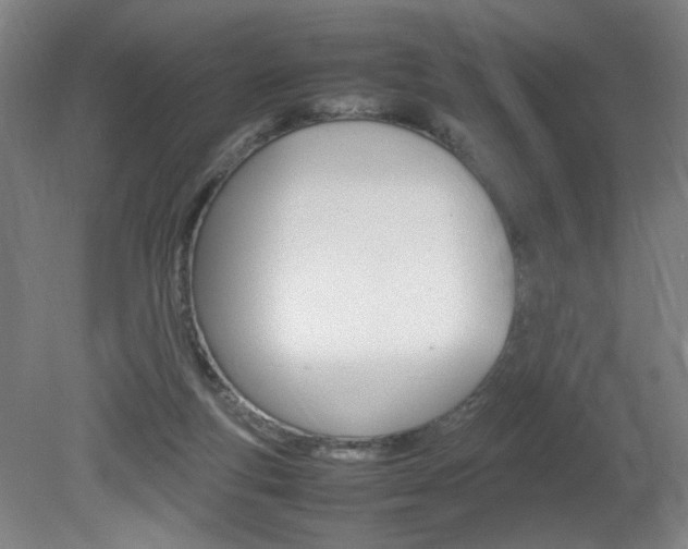 X0000082140163200701191007