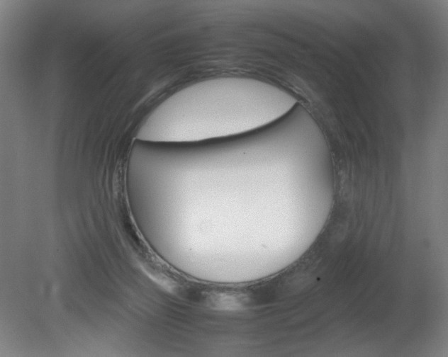 X0000082140165200701191007