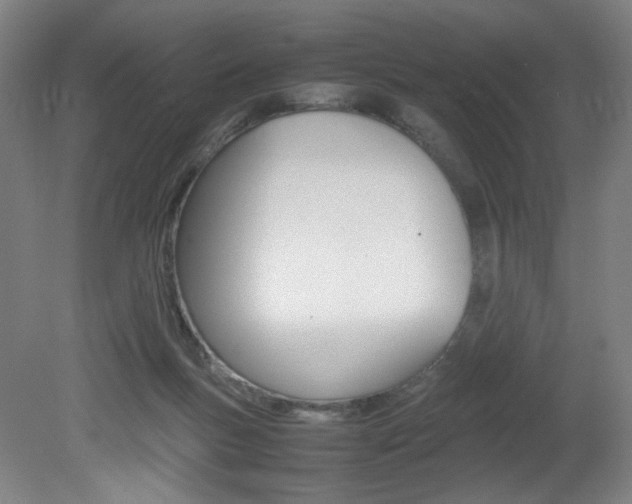 X0000082140167200701191007