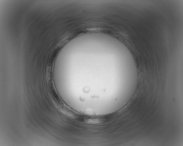 X0000082140171200701191007