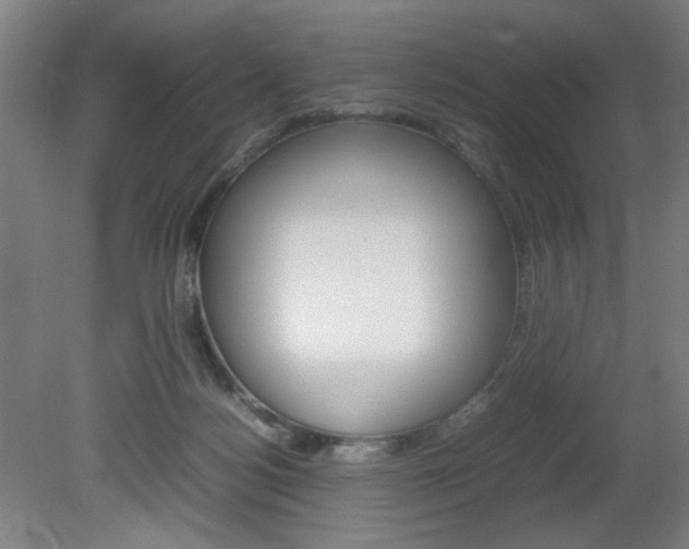 X0000082140172200701191007