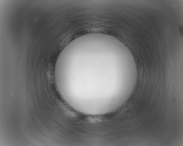 X0000082140181200701191007