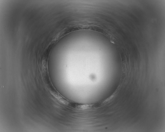 X0000082140184200701191007