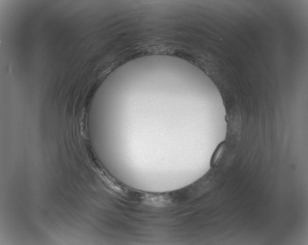 X0000082140185200701191007