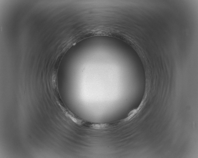 X0000082140192200701191007