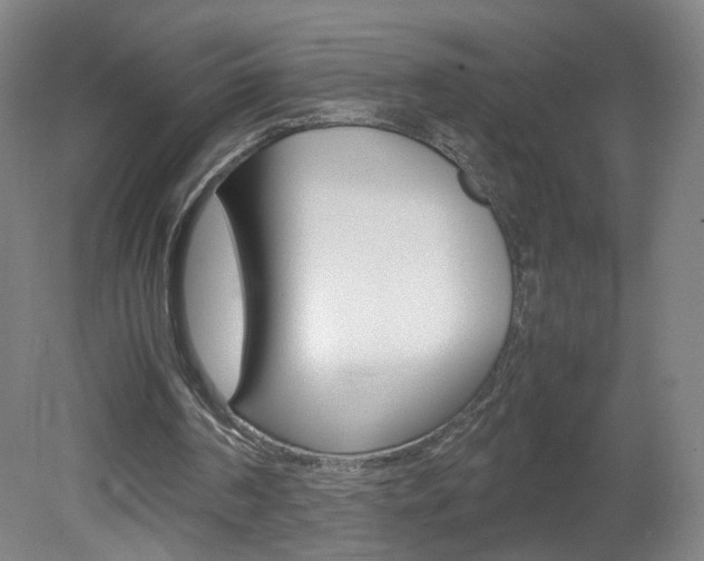 X0000082140194200701191006