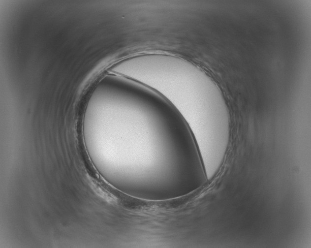 X0000082140197200701191006