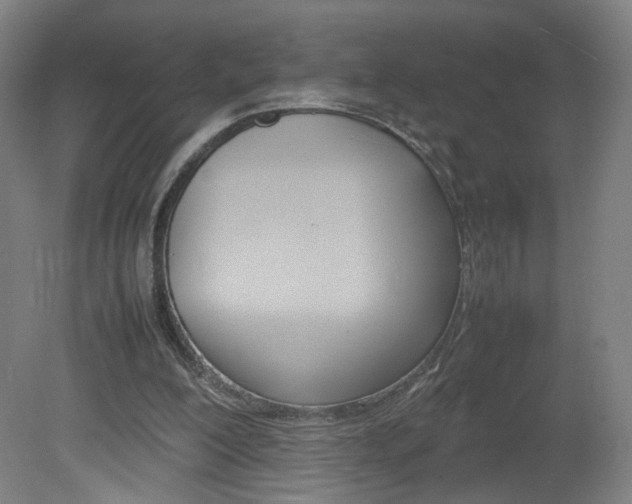 X0000082140200200701191006