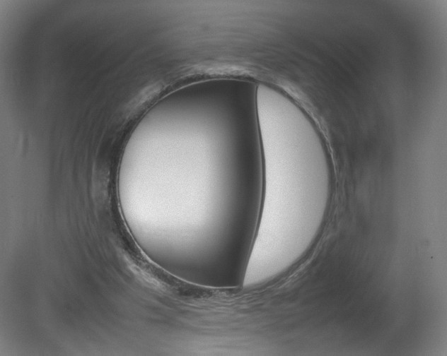 X0000082140201200701191006