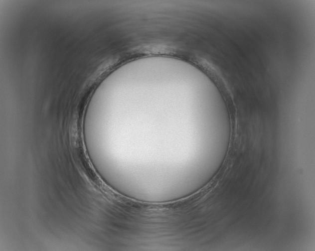 X0000082140202200701191006
