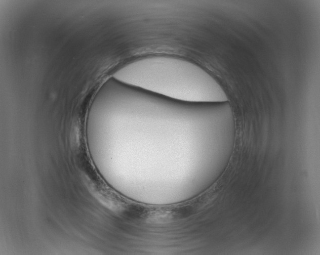 X0000082140206200701191006