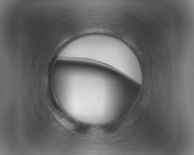 X0000082140207200701191006