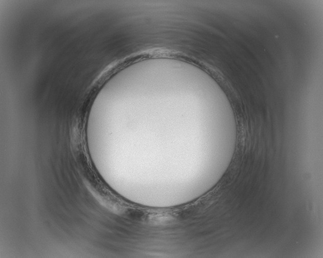 X0000082140208200701191006