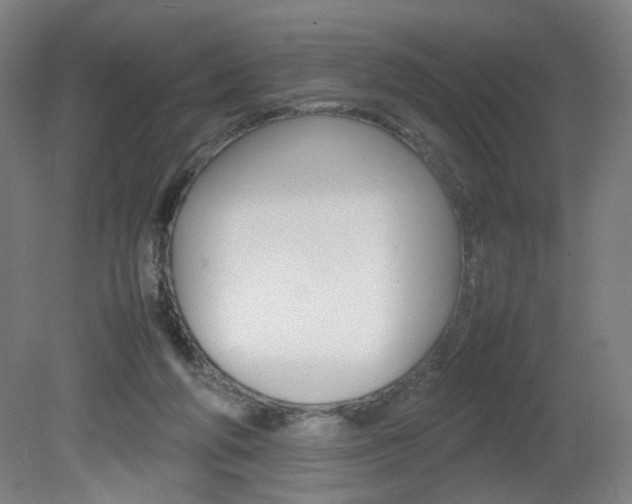 X0000082140210200701191006