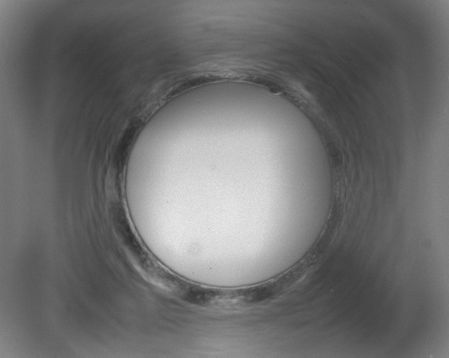 X0000082140213200701191006