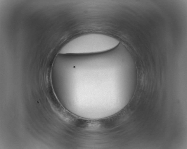 X0000082140214200701191006