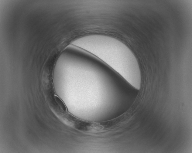 X0000082140215200701191006