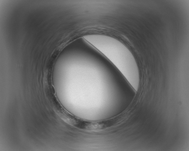 X0000082140217200701191006